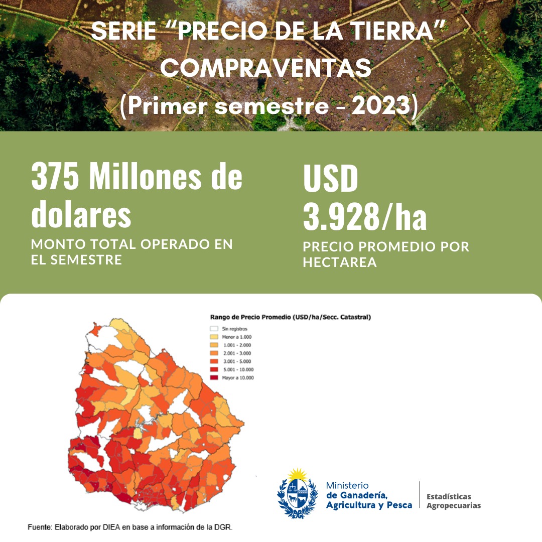 Resultados de las operaciones del "Primer Semestre Compraventas Año 2023"

El 38% de la superficie vendida (algo más de 36 mil ha) se concentró entre los departamentos de Rocha, Salto y Paysandú con precios promedios de USD 2.980, 3.980 y 3.646/ha respectivamente.