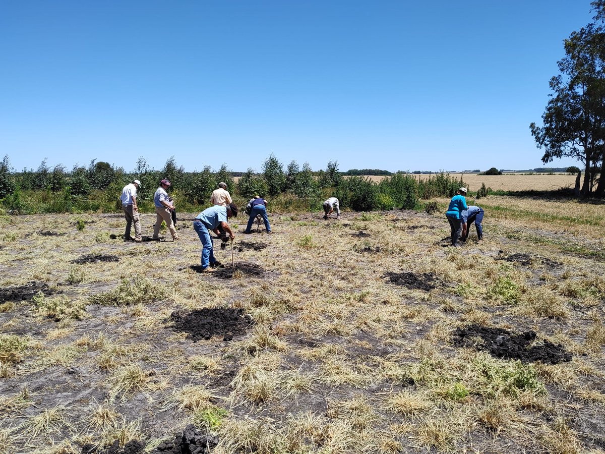 #Ayer el director de Descentralización <a href="/LuisCarresse/">Luis María Carresse</a> participó en el lanzamiento del Proyecto "Cortinas de Abrigo y Sombra 2023"

Este es un trabajo organizado entre la Unidad de Descentralización del <a href="/MGAPUruguay/">MGAP</a> y la <a href="/FloresIDF/">Intendencia de Flores</a>