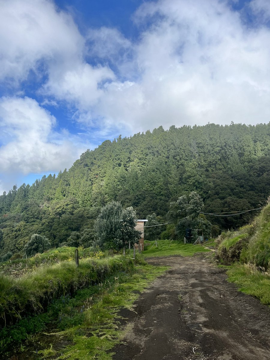 lambmeza's tweet photo. Lo mejor del Trail Running!! #sanjuandechicua https://t.co/gSw3bjJG2o
