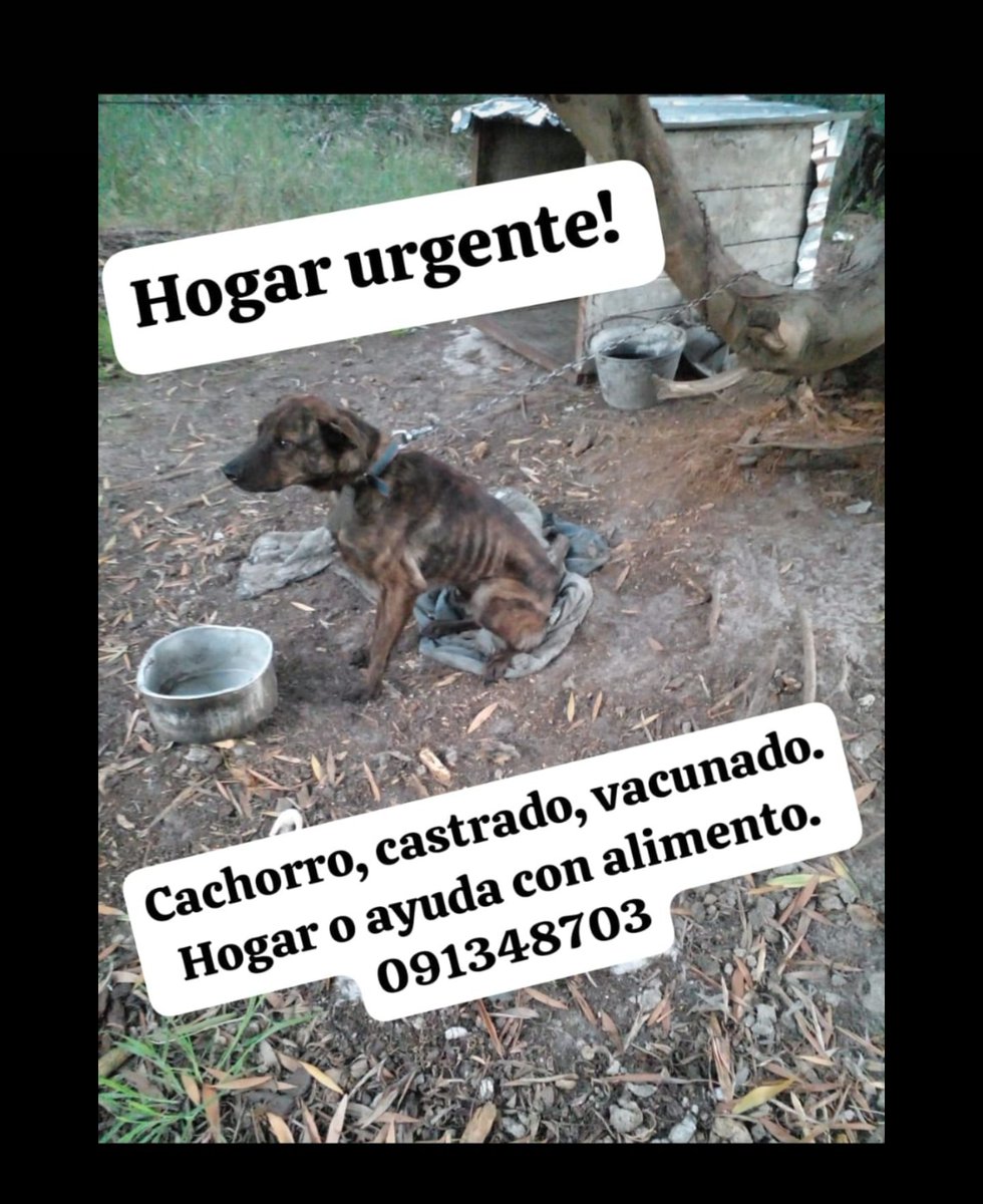 Johana Beltrán (@patascortas_) on Twitter photo 