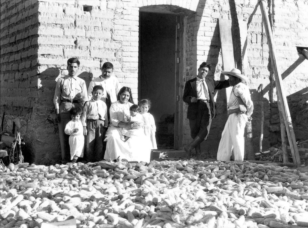 Campesinos de maíz.
Veracruz.
1927.

#MéxicoTierraSagrada 
📸 Tina Modotti