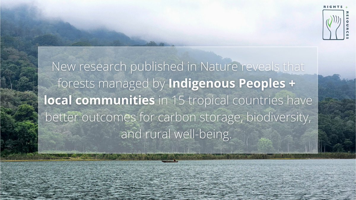 RRI - Rights and Resources Initiative (@rightsresources) on Twitter photo #Newresearch published in <a href="/Nature/">nature</a> today reveals that forests managed by Indigenous Peoples + local communities have better outcomes for carbon storage, biodiversity, and rural well-being! #LandRightsNow
Read the press release or download the article ⬇️
rightsandresources.org/blog/new-resea… #Newresearch published in <a href="/Nature/">nature</a> today reveals that forests managed by Indigenous Peoples + local communities have better outcomes for carbon storage, biodiversity, and rural well-being! #LandRightsNow
Read the press release or download the article ⬇️
rightsandresources.org/blog/new-resea…