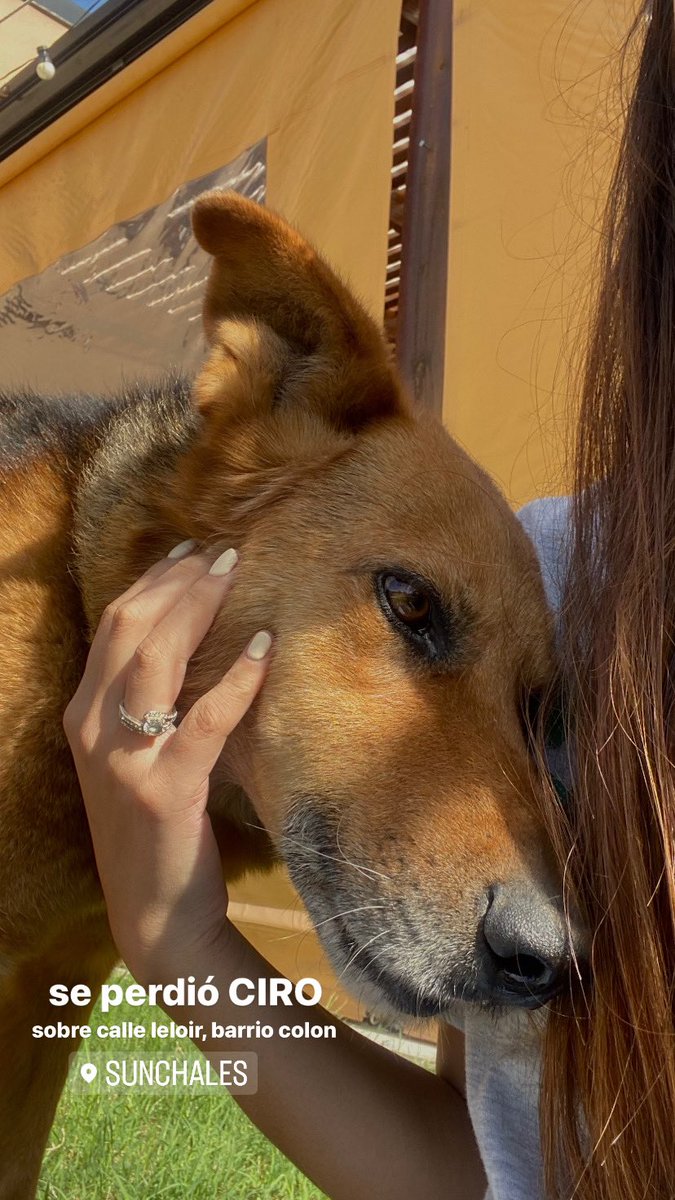 sigue sin aparecer, por favor difundir!! 🙏🏼