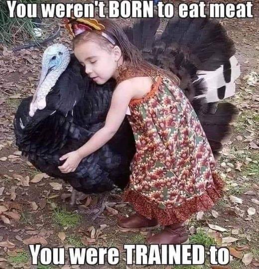 veganpowerful's tweet photo. #veganthanksgiving #friendsnotfood 🌱 https://t.co/CZY0MdcY4Y