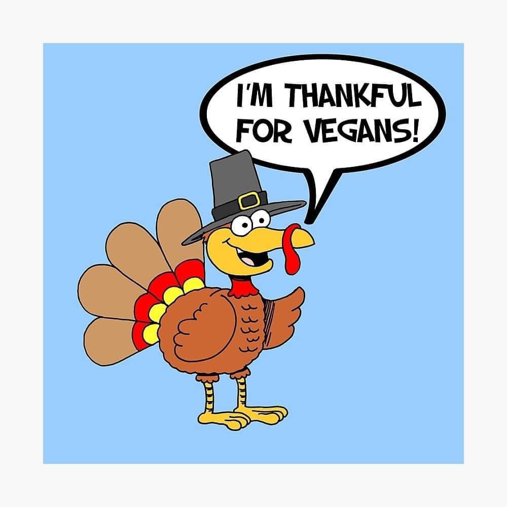 veganpowerful's tweet photo. #thankfulforyou #govegan #stayvegan🌱 https://t.co/pauxN9c63w