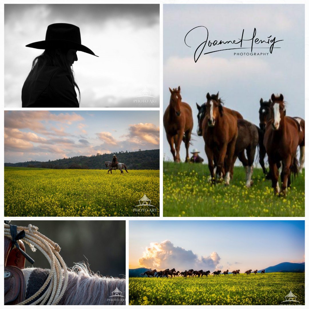 photogesigner's tweet image. 📸✨ The allure of uniqueness! Explore JHenigPhoto.com's collection of one-of-a-kind photographic art. Each frame tells a story and captures moments that stand out in a world of their own. 🌟 #UniqueArtistry #PhotographicUniqueness #GalleryOfOne #ArtPhotography #Visual