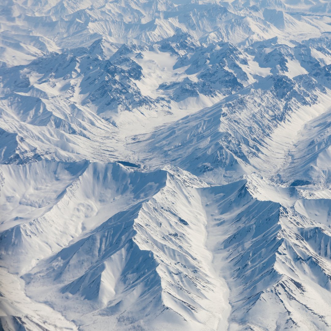 At #DonlinGold, we are dedicating time to share our gratitude for:

👷 Our employees at Donlin Gold.
🌲 The Y-K region.
🤝 Our partnerships.
💛 Our neighbors and fellow Alaskans. 
🌎 Earth's natural resources.