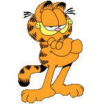 Photo by Garfield (@Garfieldtecat)