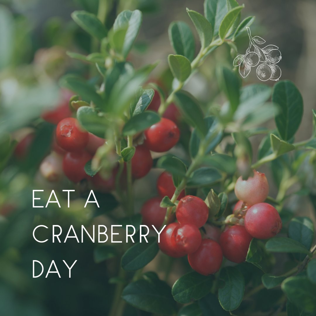Did you know Pennsylvania has a natural cranberry bog? Tannersville Cranberry Bog Preserve has wild cranberries and beautiful views. Check it out on #EatACranberryDay #DelRiverWatershed

🔴Learn more at bit.ly/EatACranberryD… 🔴
