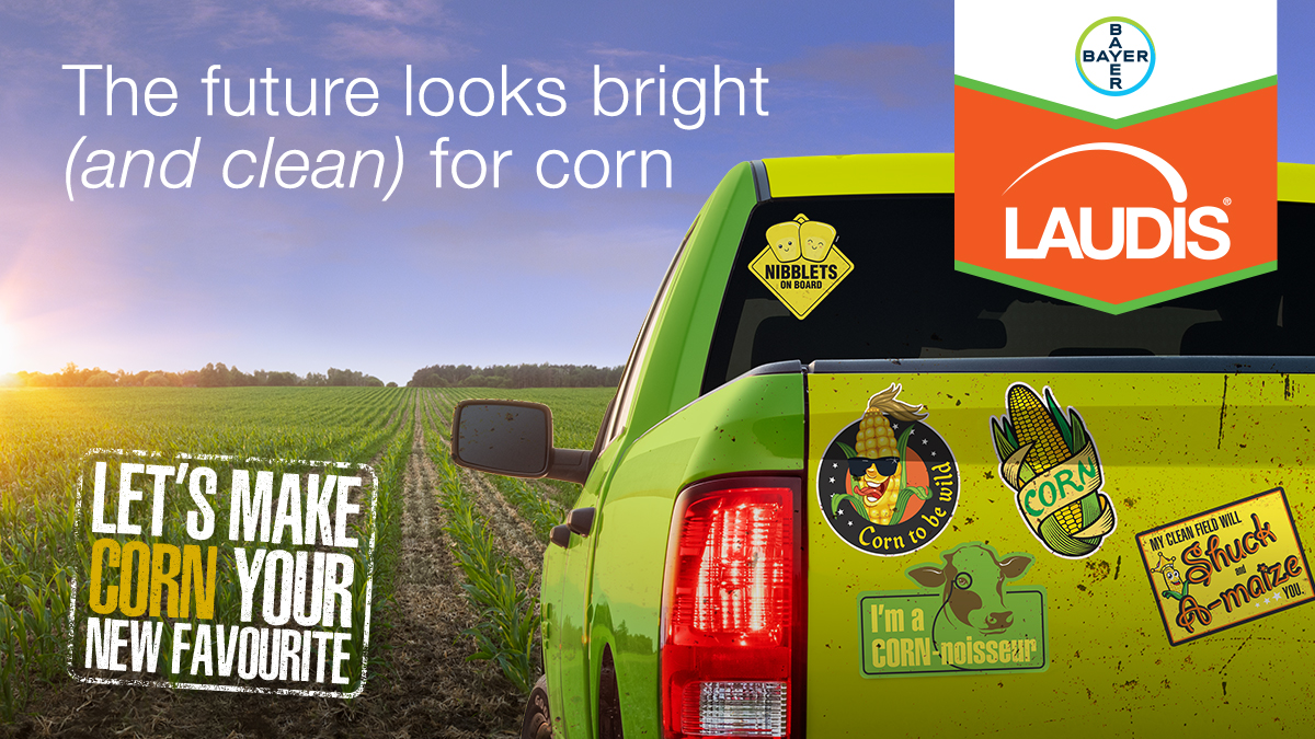 Another way to protect your #corn investment, Saskatchewan and Alberta! Laudis has now been approved for use in #SaskAg and #ABag, AND has additional rotational crops &amp; seed corn to the label.

Check out Laudis for exceptional broadleaf weed control: bit.ly/46IO2jT