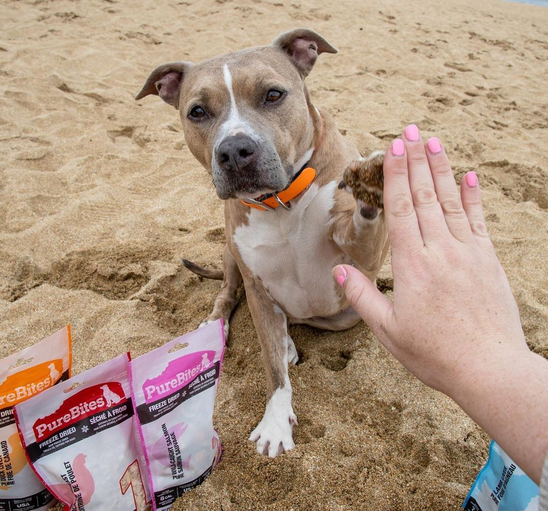 PureBites tweet media