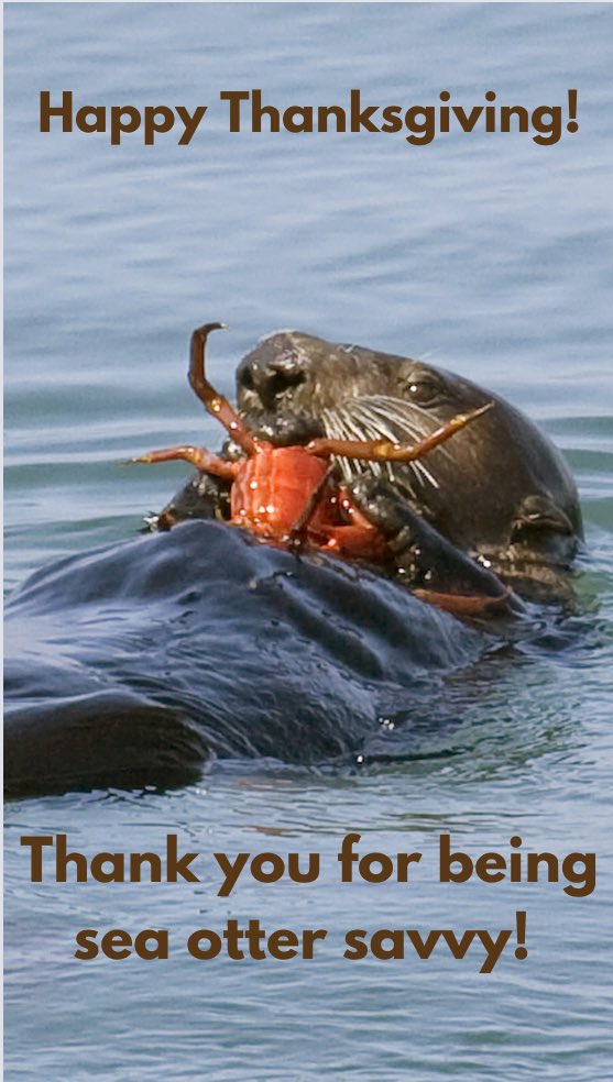 Happy Thanksgiving! Be grateful you don’t have to dive to the bottom of the ocean in November for every dish today. #Thanksgiving