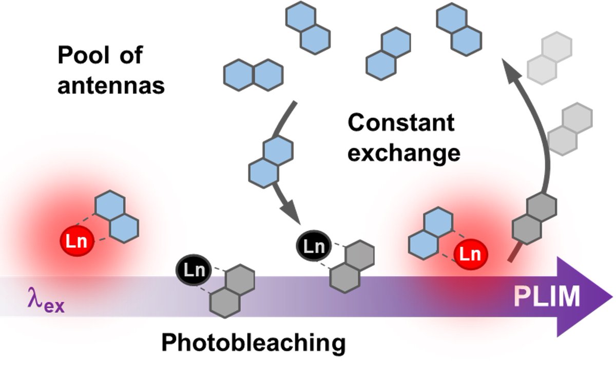 NanoscopyLab tweet media