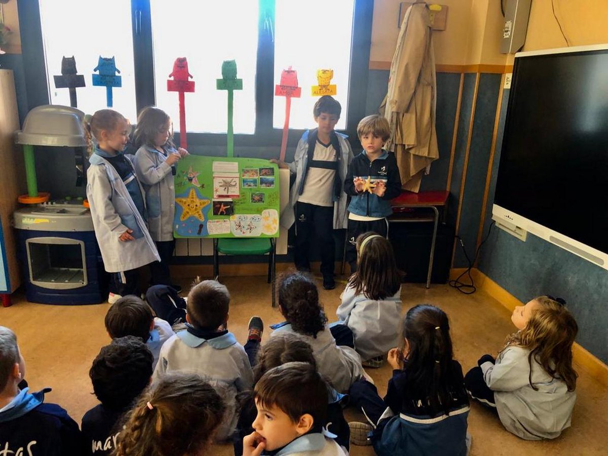 MaristasToledo tweet media