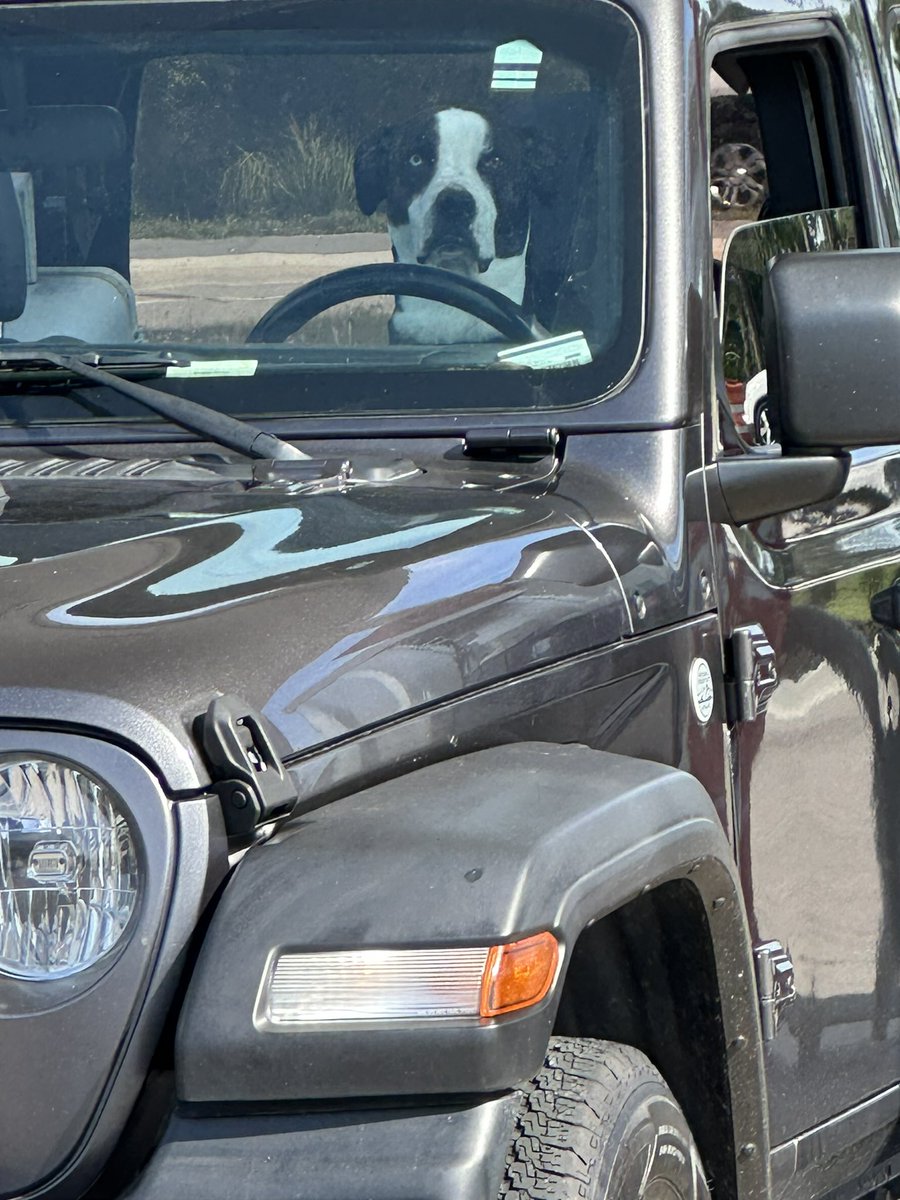 CryptoDaddi tweet media