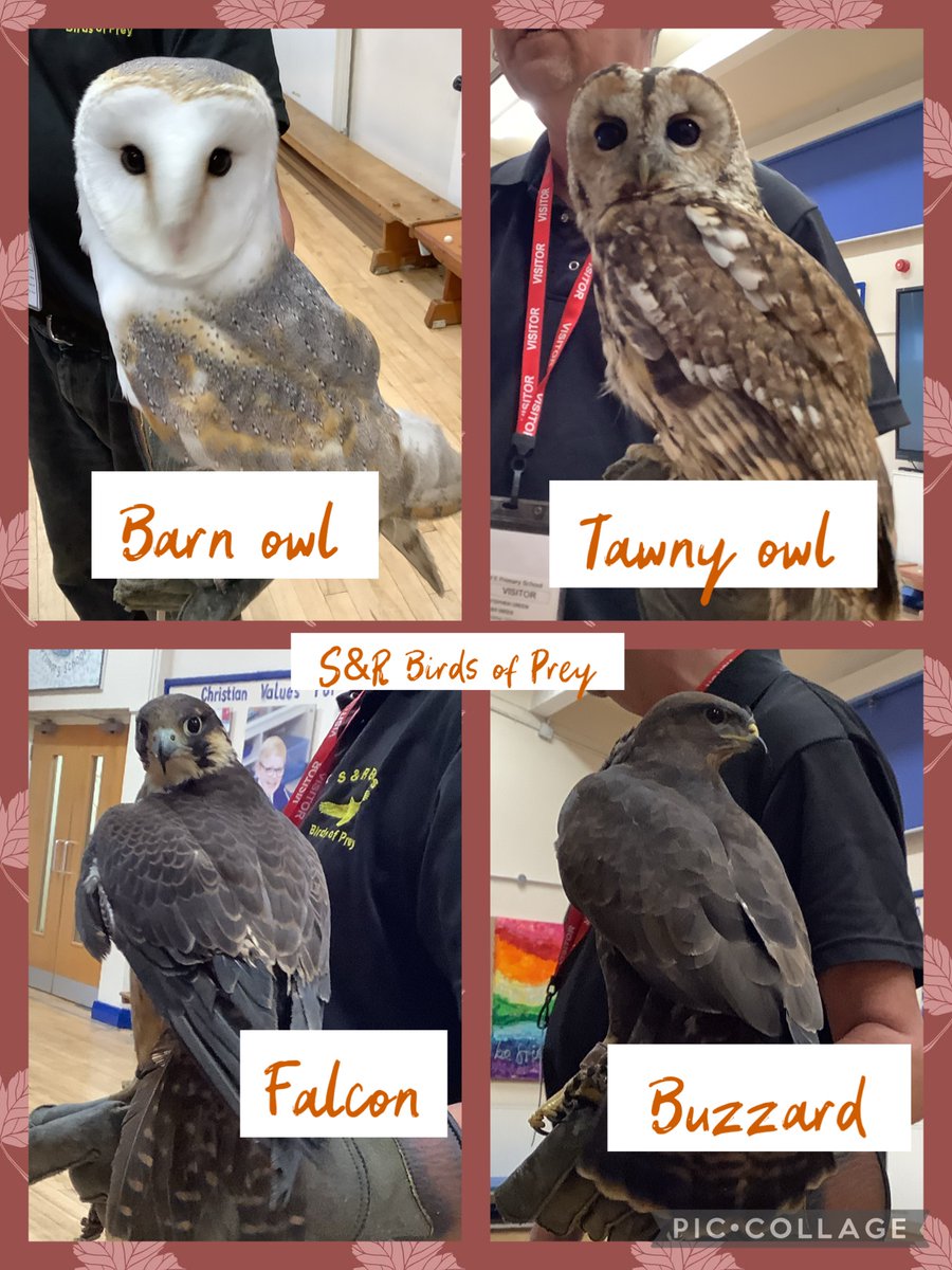 Thank you to S&R Birds of Prey for bringing your beautiful birds to see us today. What a fabulous experience for the children! #bringingbookstolife #birdsofprey #culturalcapital @LDSTEducation @EducateMag