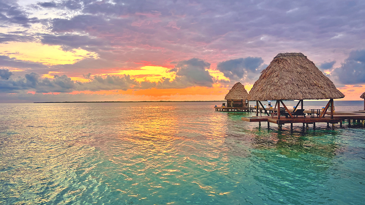 CocoPlumCay's tweet photo. Warm sands, cool breezes, and a heart full of gratitude. Wishing you a Thanksgiving that's as beautiful as our Belizean sunsets.
#travel #belize #travelbelize #wanderlust #privateislandresort #unbelizeable #allinclusive #adultsonlyisland https://t.co/VUrci1qouM