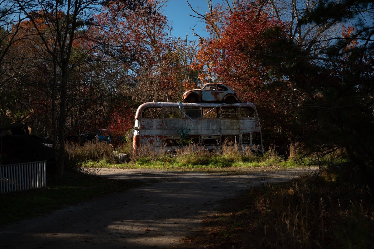 bobbywnhrdt's tweet photo. Loved shooting this junkyard filled with classic cars. Autumn and rust is such a nice combo. #cars #photography #vintage #thursdayvibes #thanksgiving #autmn #classic https://t.co/RTeDHGKON7