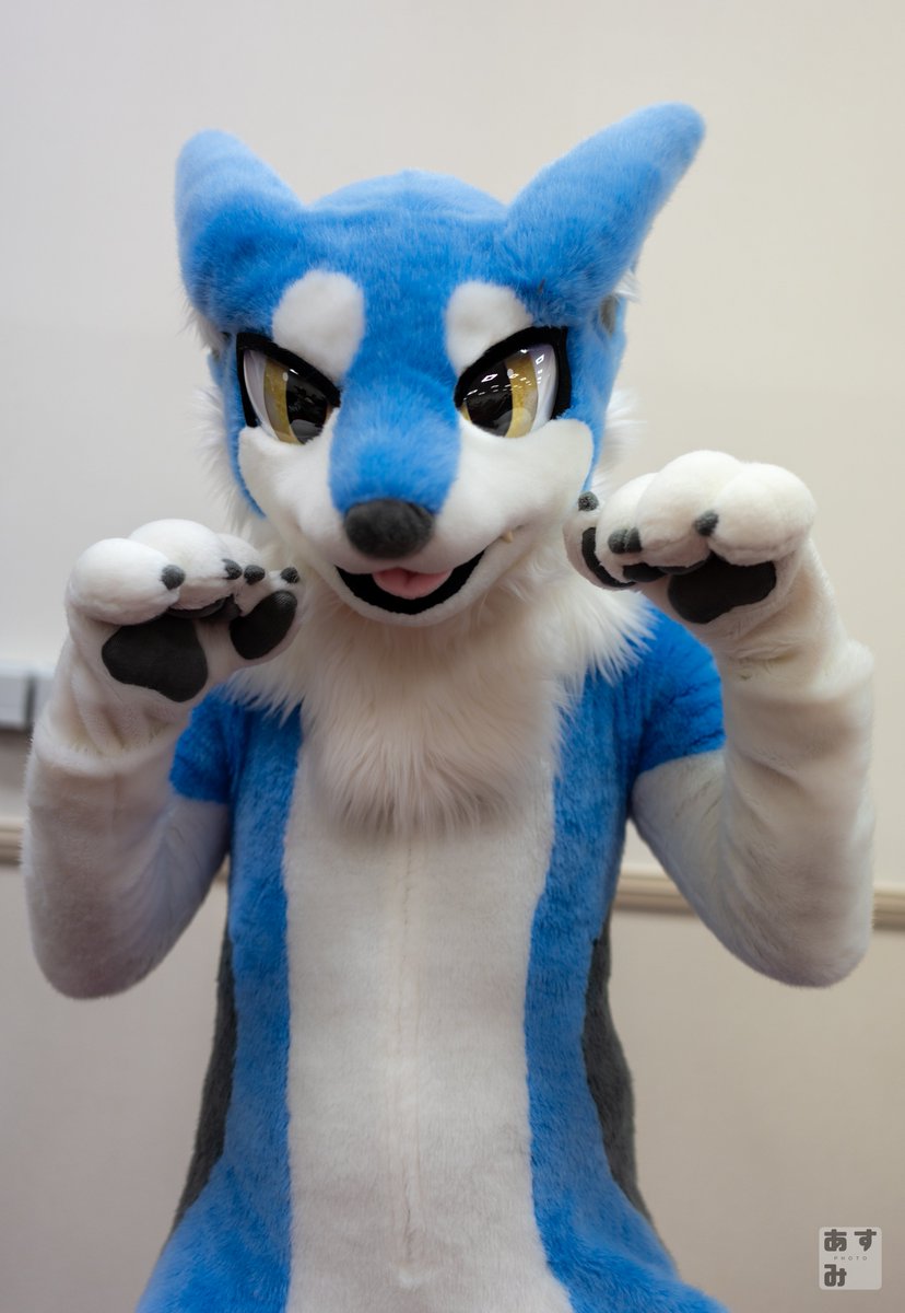 #FursuiFriday
#みちのく７