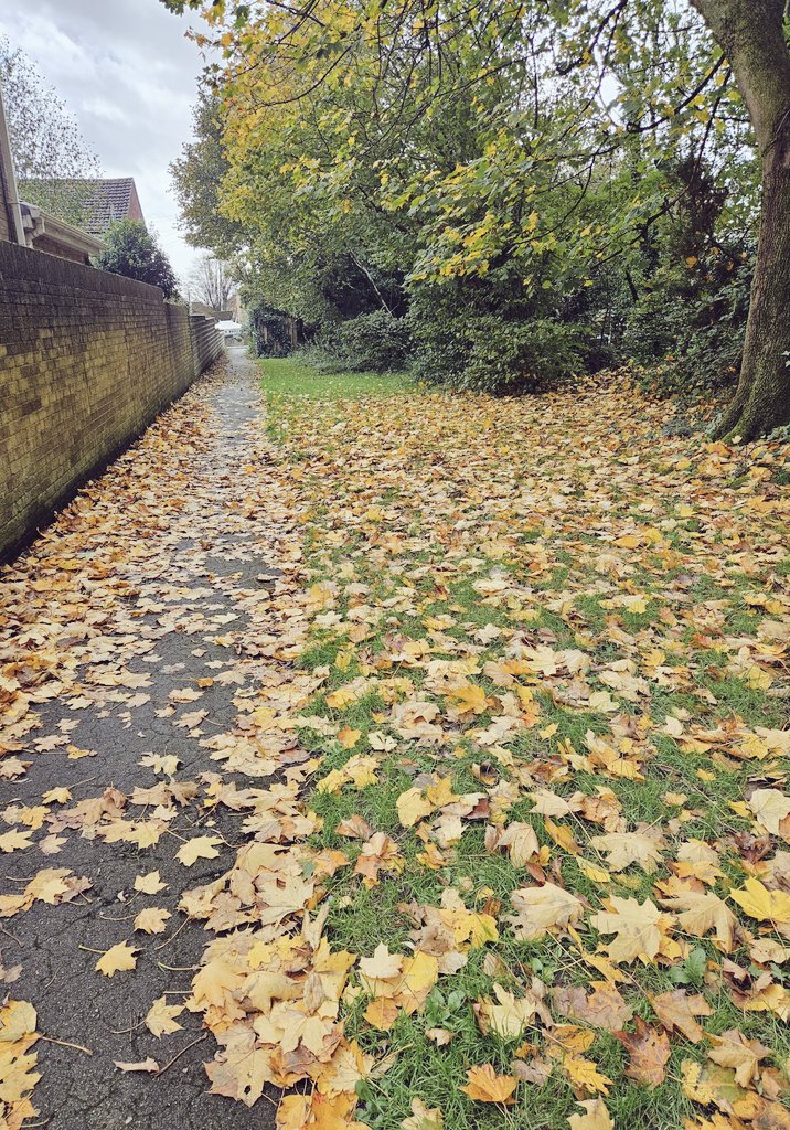 Grey skies hold their tears,
November's melancholy,
Leaves paint paths in gold

©️ MJW - November Lame #Haiku 

#poetry #poetrycommunity