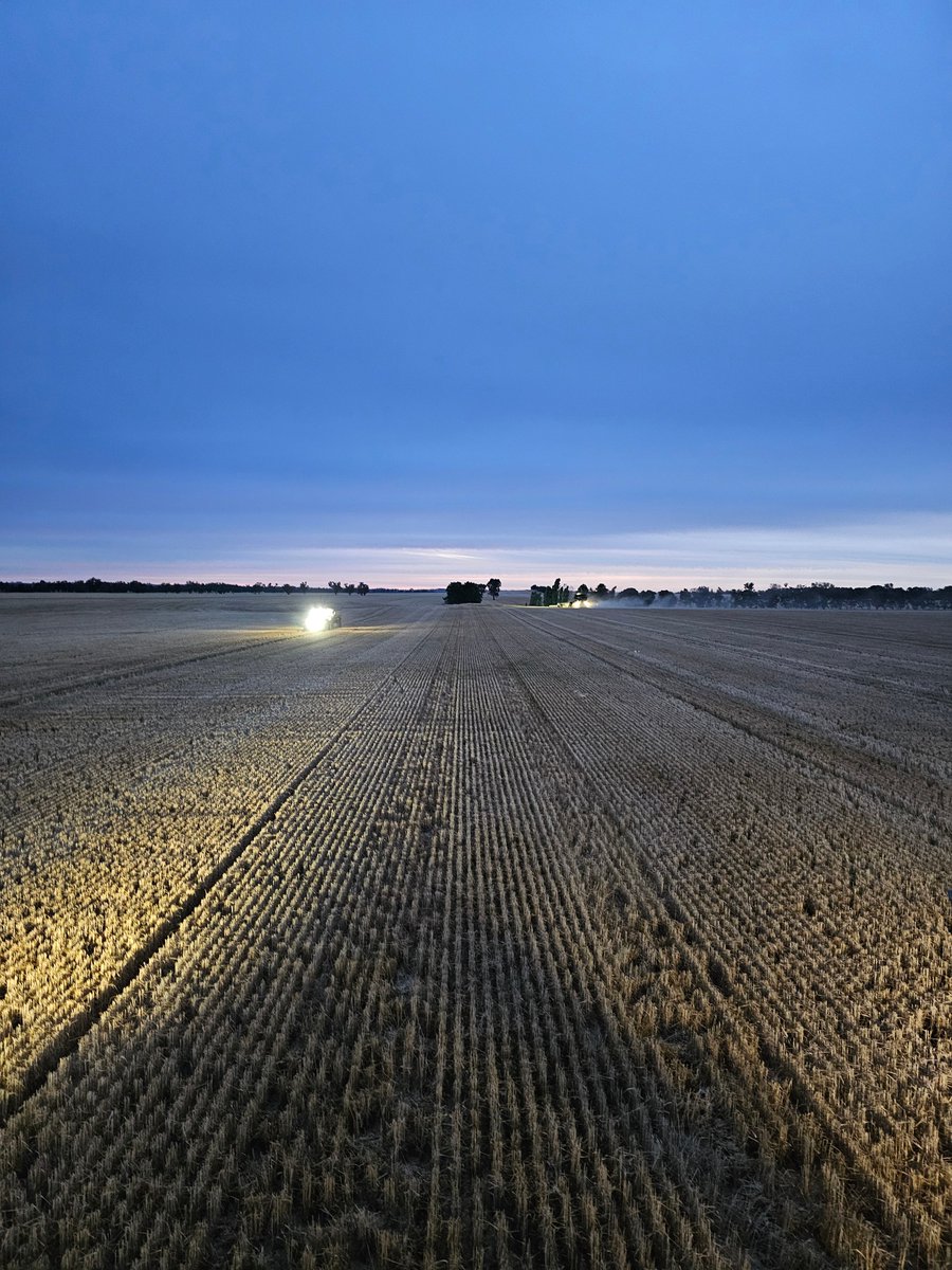 Broden holland tweet media