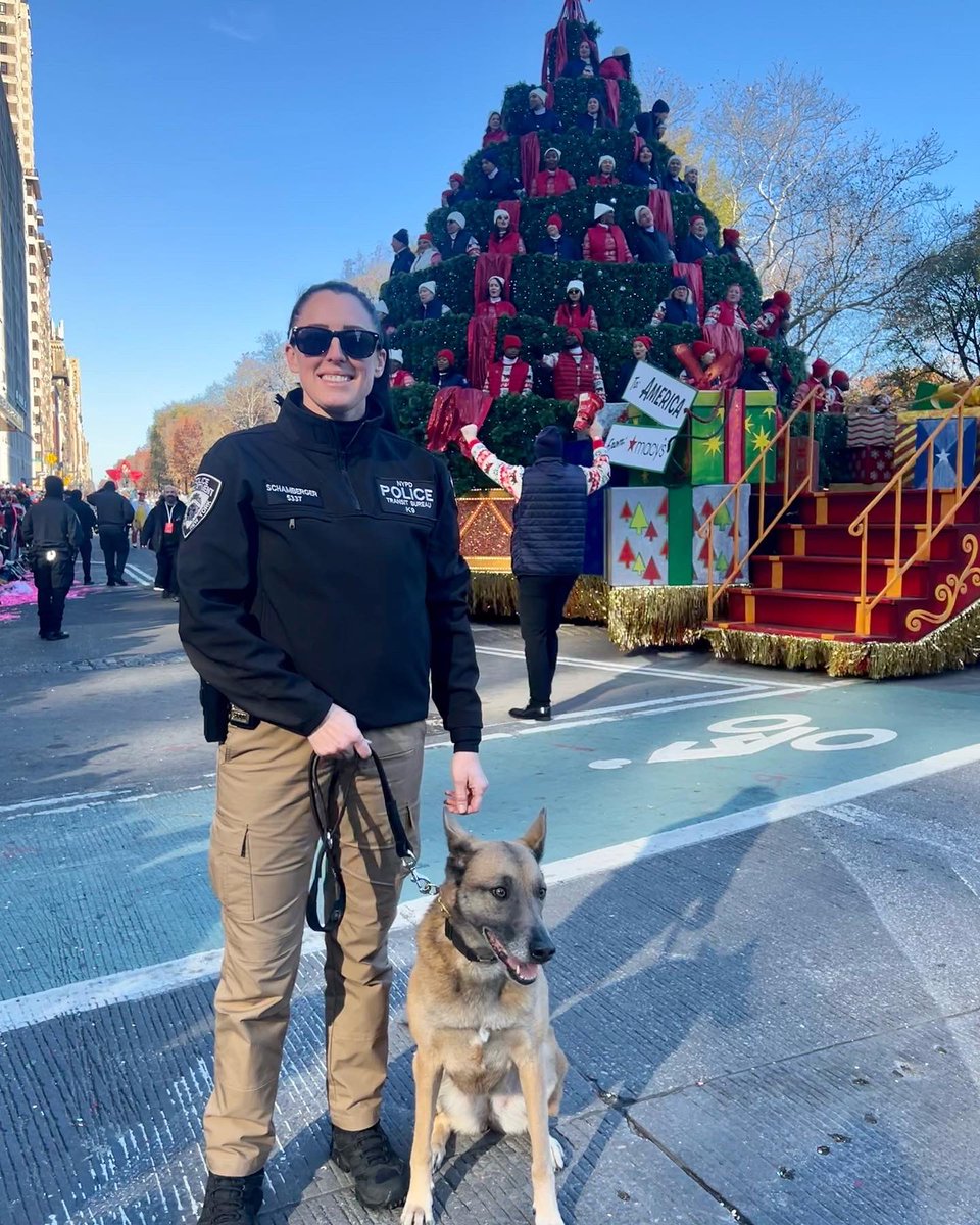 K9_Zada's tweet photo. Happy Thanksgiving everyone 🦃🍁🫶🏼  #nypd @NYPDTransit @NYPDnews https://t.co/oHxUn24PLj