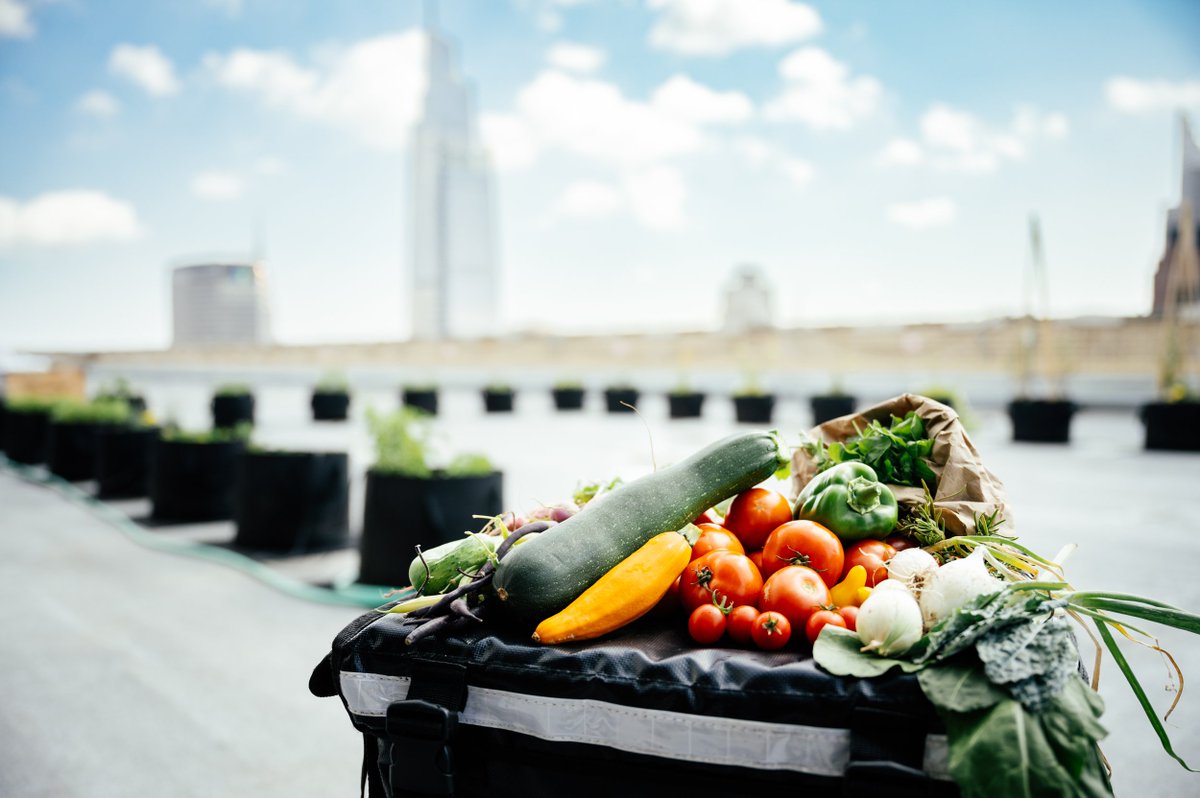 Microhabitat (@microhabitat_ca) on Twitter photo Weβre turning commercial properties into sustainable gems! Urban farming enhances property value and reflects your commitment to green practices. ποΈπ± Weβre turning commercial properties into sustainable gems! Urban farming enhances property value and reflects your commitment to green practices. ποΈπ±