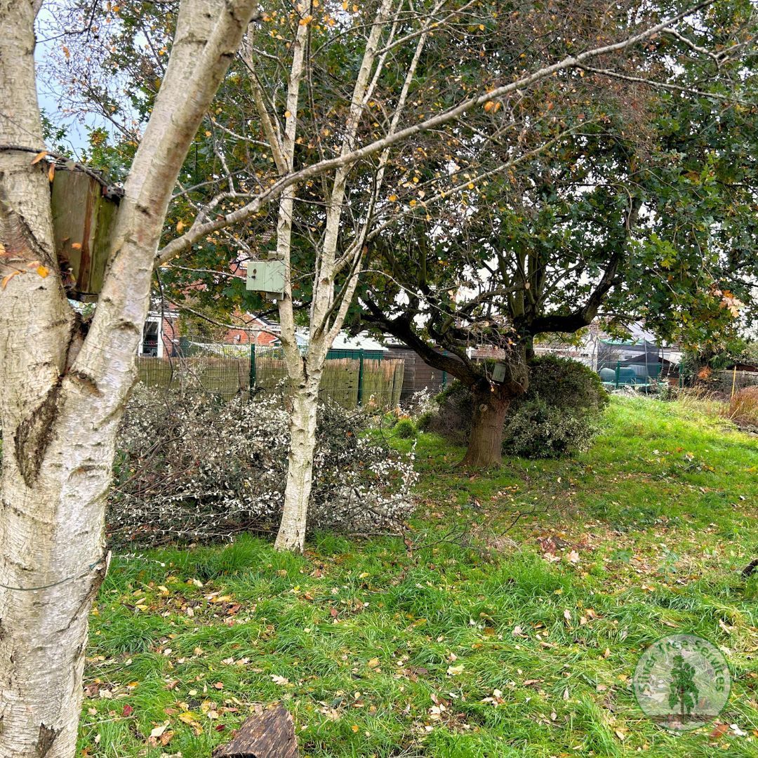 Sam and Josh gave a well needed lift to the nature area at Warden Hill Primary School cutting down the overgrown areas, making it accessible again to all the children.

Great to see the next generation connecting with nature, future tree surgeons?

#treesurgery #chainsaw #chelt