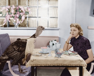 AlderbrookProp's tweet image. 🦃 Caption Contest: When your Thanksgiving takes an unexpected turn due to fowl play! 🍽️ Share your best caption for this unforgettable holiday moment! Wishing you a hilarious and turkey-tastic Thanksgiving! #CaptionThis #ThanksgivingCaption #ThanksgivingHumor