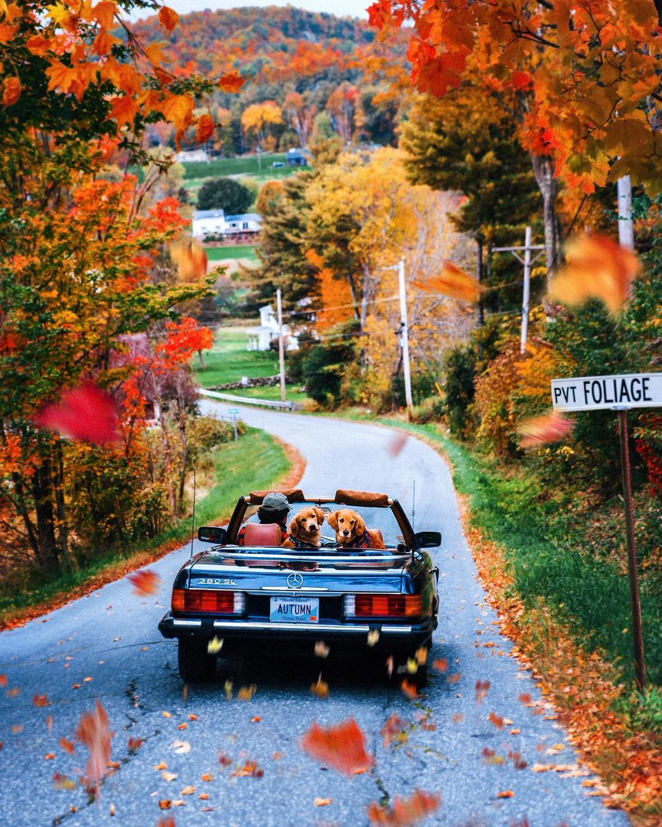 MercedesBenzUSA's tweet photo. Seasons change. Icons stay the same. ​

📸: @kjp​

#MercedesBenz #380SL https://t.co/scESOBCrRl