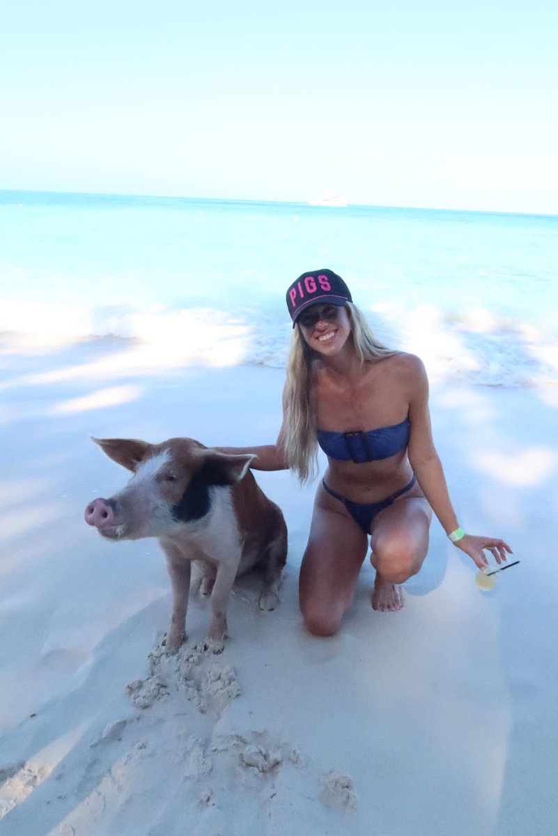 PigsBrand's tweet photo. Hope everyone enjoyed their turkey! Now itβs time for some PIGS in the Bahamas!
#battleforatlantis
#swimmingpigs
#arkansasrazorbacks https://t.co/vjvrtxKmbA