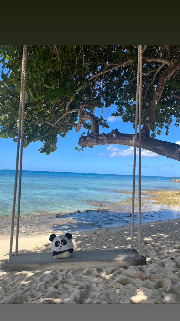 KaalvoetPanda's tweet photo. Toes in the water, ass in the sand… me and fred chilling hard… #adventure #wonderlust #beachday #findfredd #justbeforework https://t.co/0lMh0TfpWf