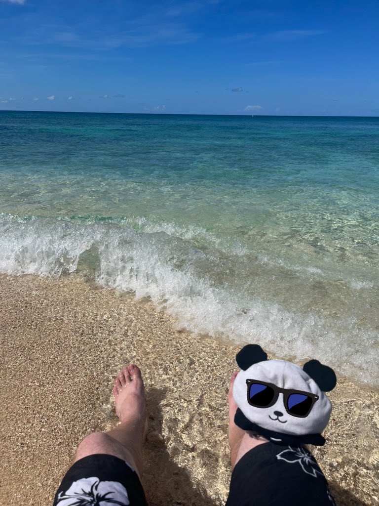 KaalvoetPanda's tweet photo. Toes in the water, ass in the sand… me and fred chilling hard… #adventure #wonderlust #beachday #findfredd #justbeforework https://t.co/0lMh0TfpWf