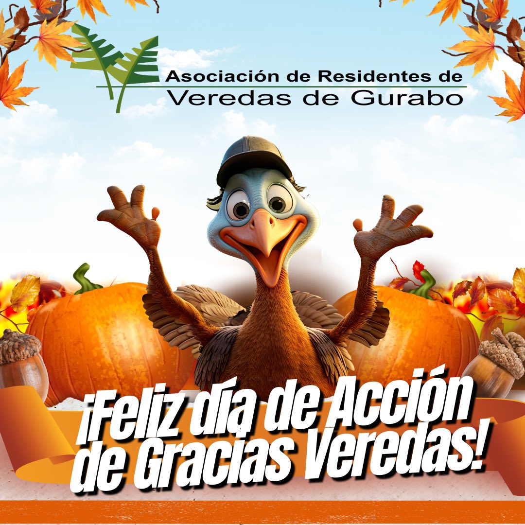 veredasdegurabo's tweet photo. https://t.co/e9pvKTVa3j