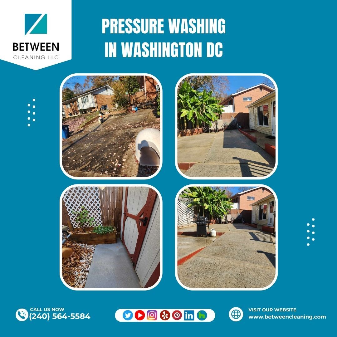Revitalize your space with our top-notch pressure washing services in Arlington! 💦 Say goodbye to built-up grime and hello to a sparkling clean exterior. Get ready to make a lasting impression with the power of pressure washing.
 🏡 #PressureWashingArlington #CleanUpYourSpace