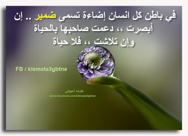 mehissen (@mehissen) on Twitter photo 