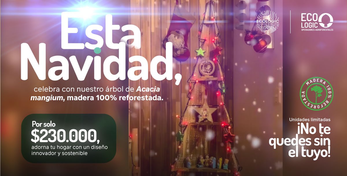 ¿Ya tienes tu árbol especial para esta temporada? Nuestro árbol de Acacia mangium es la opción ideal para darle un toque sostenible a tu celebración. 🎄💚

¡Escríbenos ahora y celebra de manera consciente! 👇🏻

Hagamos juntos de esta Navidad algo verdaderamente especial. 💫