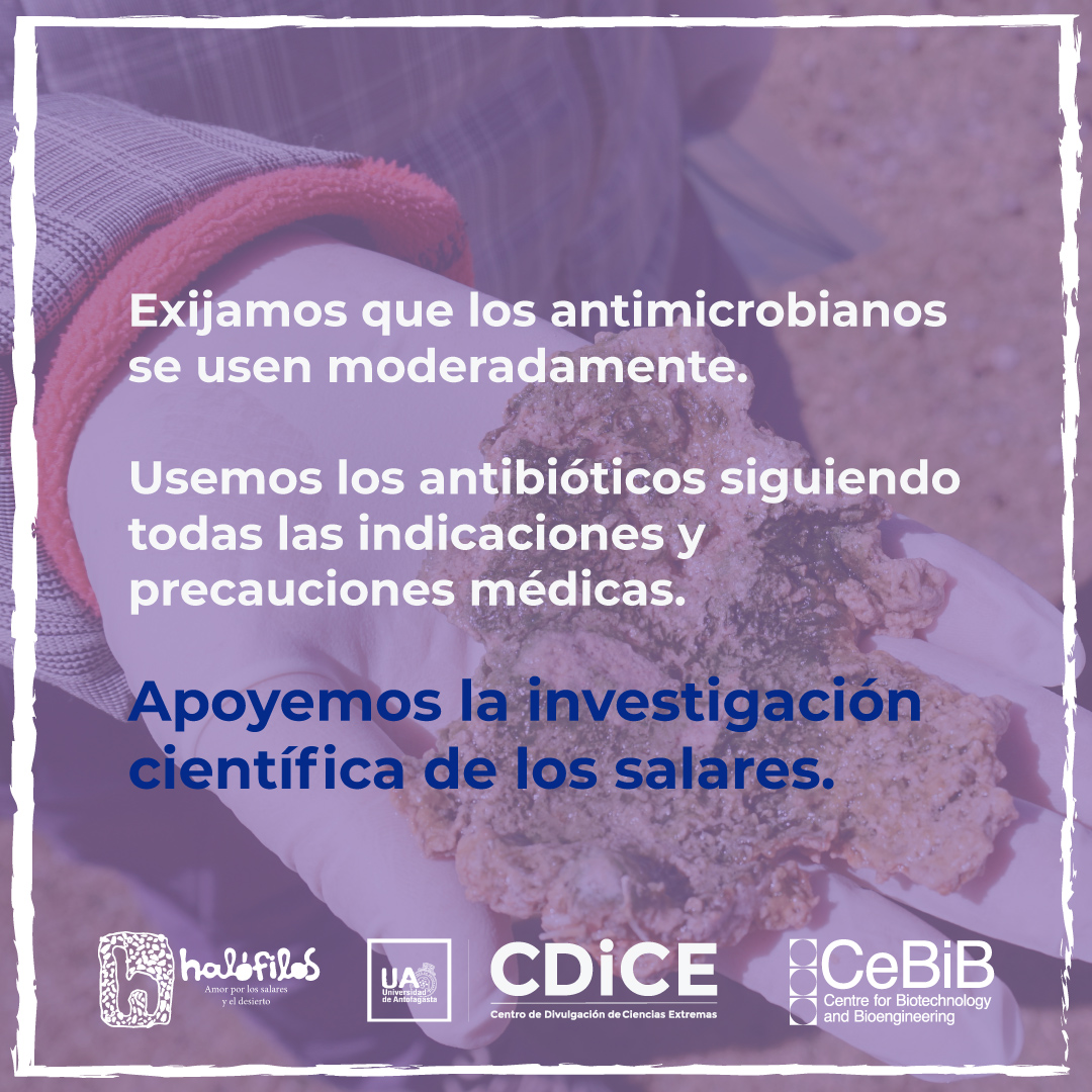 Halófilos tweet media