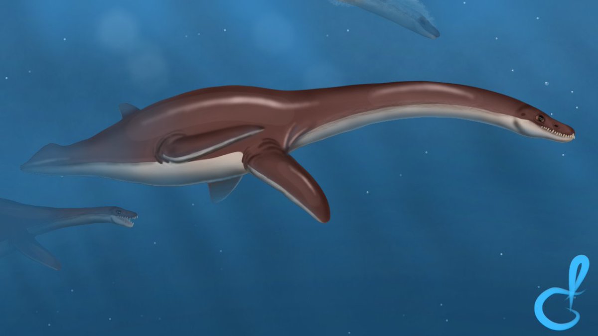 Baude123343's tweet photo. #Callawayasaurus colombiensis
#paleoart #paleontology #plesiosauria https://t.co/XFunb64xgq