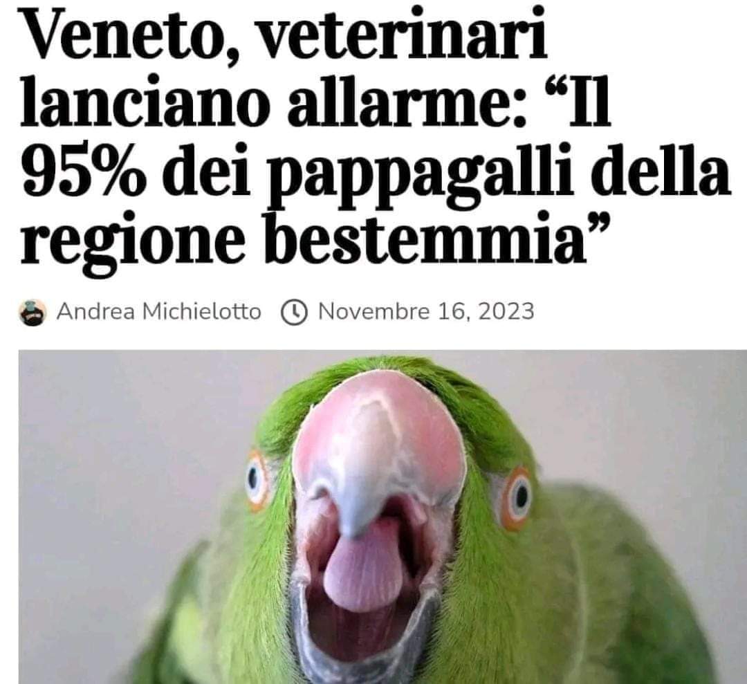 ElGusty201's tweet photo. 😂😂😂😂😂 è già tanto che non bevono va....😂😂😂😂😂 https://t.co/Ao3PjE21bv