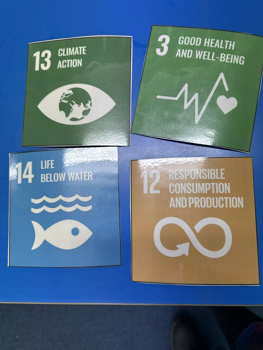 ElliePrimary1's tweet photo. Today we researched a couple of local organisations that support our environment. We looked at a volunteer organisation called Aberdeen Climate Action, and a business called Refillosophy. We linked what we saw online to the SDGs. @AbzClimate @Refillosophyabz #SDGd @TheGlobalGoals https://t.co/2TkXI2vhxL