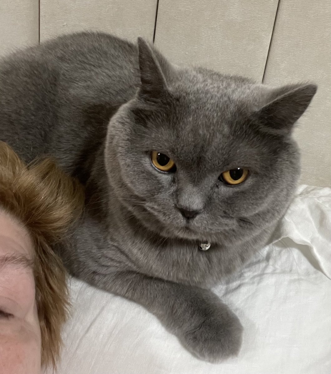 Louis Amadeus 🌈. Davis 🌈 Duke now tweeting. tweet media