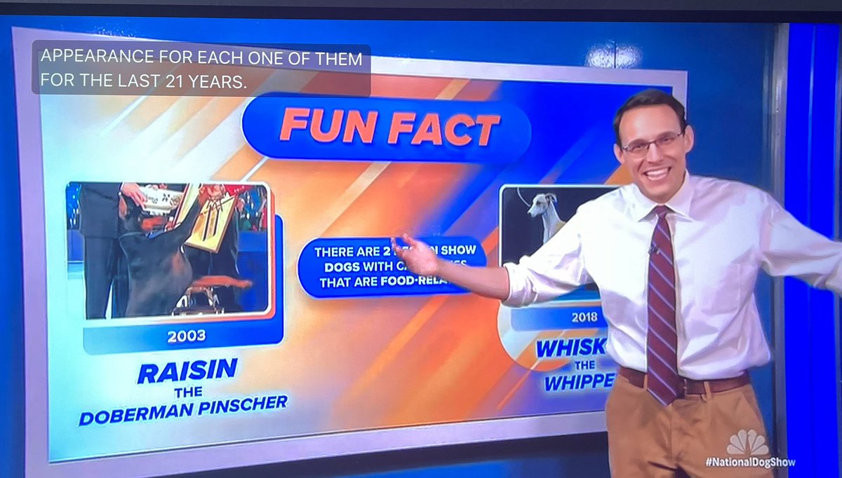 #NationalDogShow

#NBC’S  #Steve Kornacki covering the odds on 
#thenationsldogshow was the most entertaining thing television so far. 😉