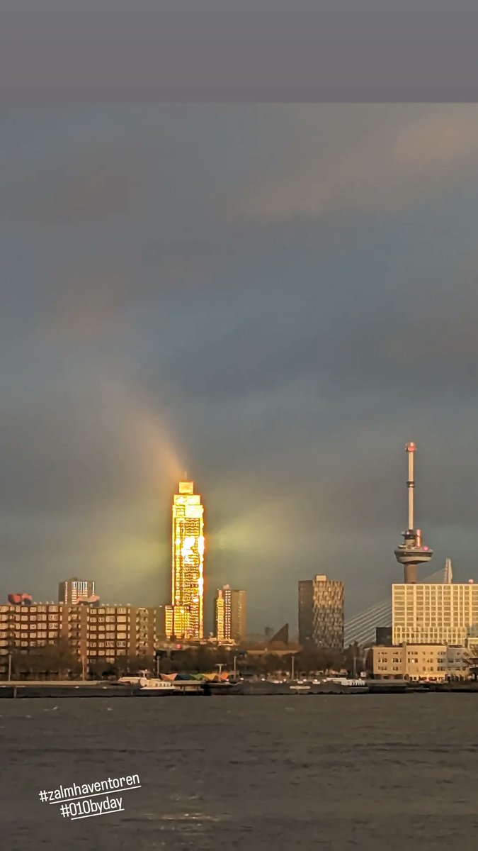 #zalmhaventoren 010 #rotterdambyday