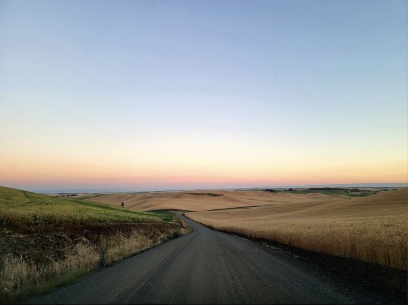 Washington State Men's Golf tweet media