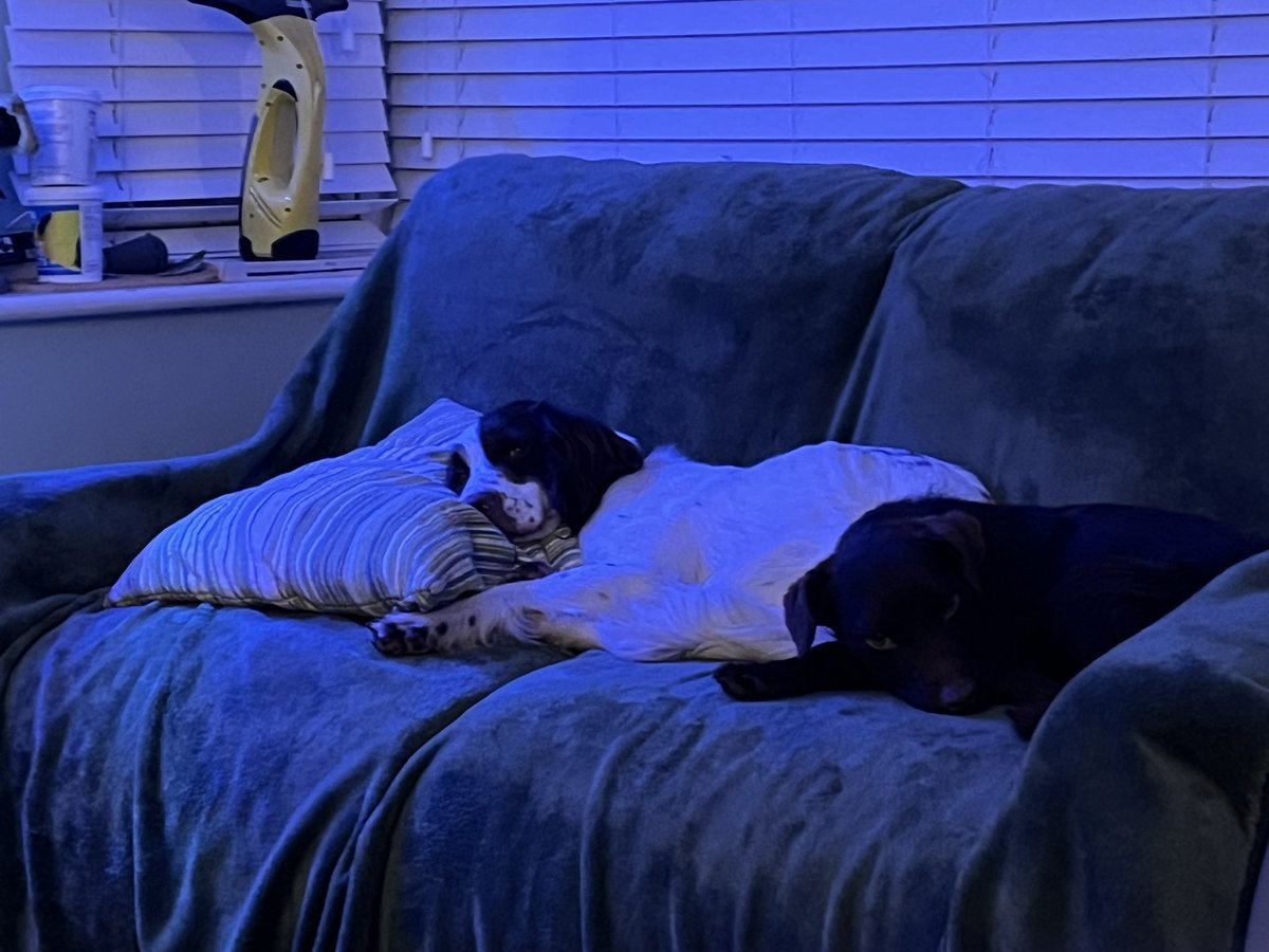 Love sleeping with my bestest bud BazBall 🥎