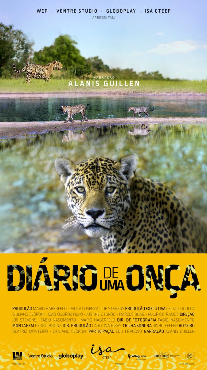 filmes_e_filmes's tweet photo. Confira o pôster oficial de "Diário de Uma Onça", documentário dirigido por Joe Stevens e narrado por Alanis Guillen, que estreia dia 30 de novembro nos cinemas brasileiros e chega dia 06 de dezembro no @globoplay.🎥🐆
#diariodeumaonça #joestevens #alanisguillen #ventrestudio https://t.co/zWh7HcBHlk