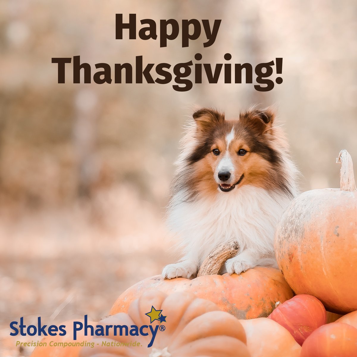 Stokes Pharmacy ® tweet media