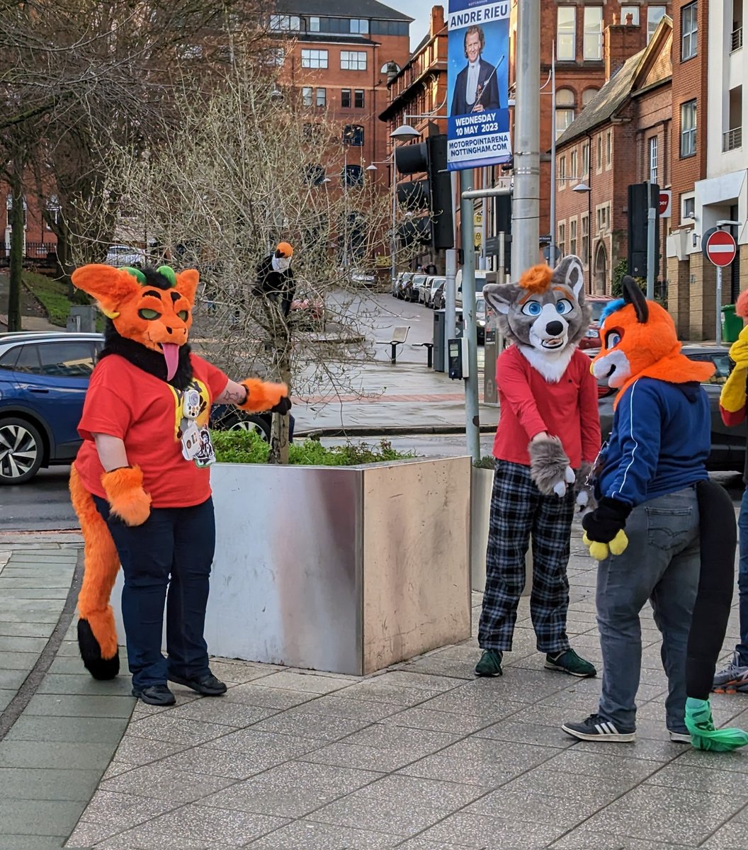 cozwoz2010's tweet photo. There's a birb....Taka wants the birb.... #nottsfurs @FursNottingham #taka @zafuterkowana https://t.co/WHBnAOVLeT