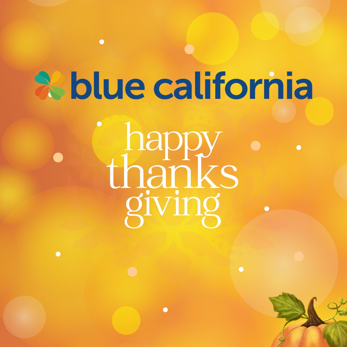 Happy Thanksgiving from our family at @BlueCal_Ing to yours! #healthyaging #longevity #ergothioneine #LTheanine #capacityforgoodness